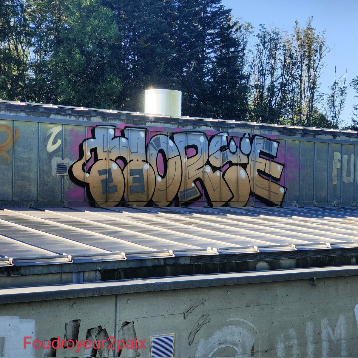 CigfUhf's tweet photo. Horse*Suisse*2022 
#graffiti #graff #swiss #graffswiss #switzerland  #suisse #art https://t.co/ouMb9HpGXb