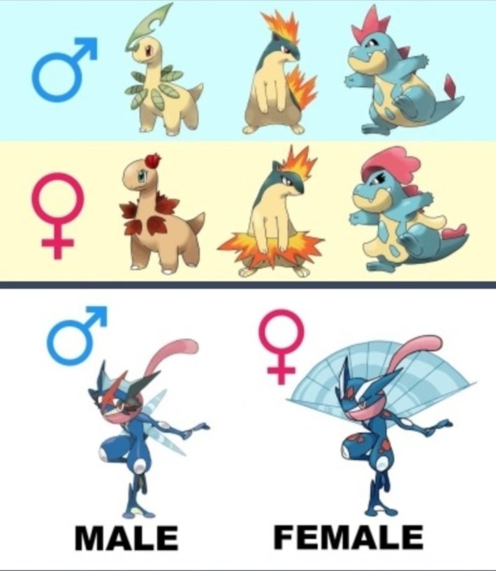 Pokemon All Characters - Age Comparison (FAN-MADE)