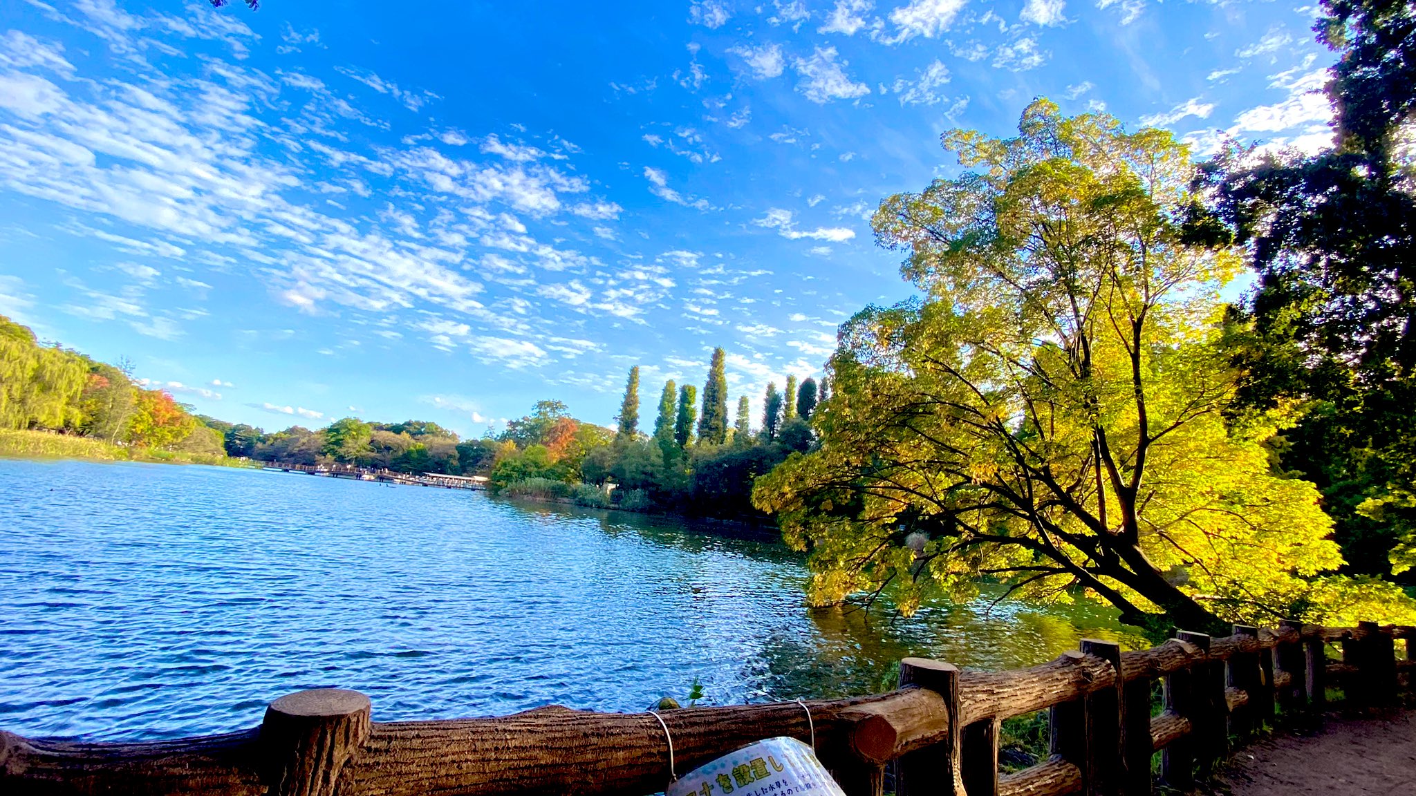 石川智晶 Ishikawachiaki3 Twitter