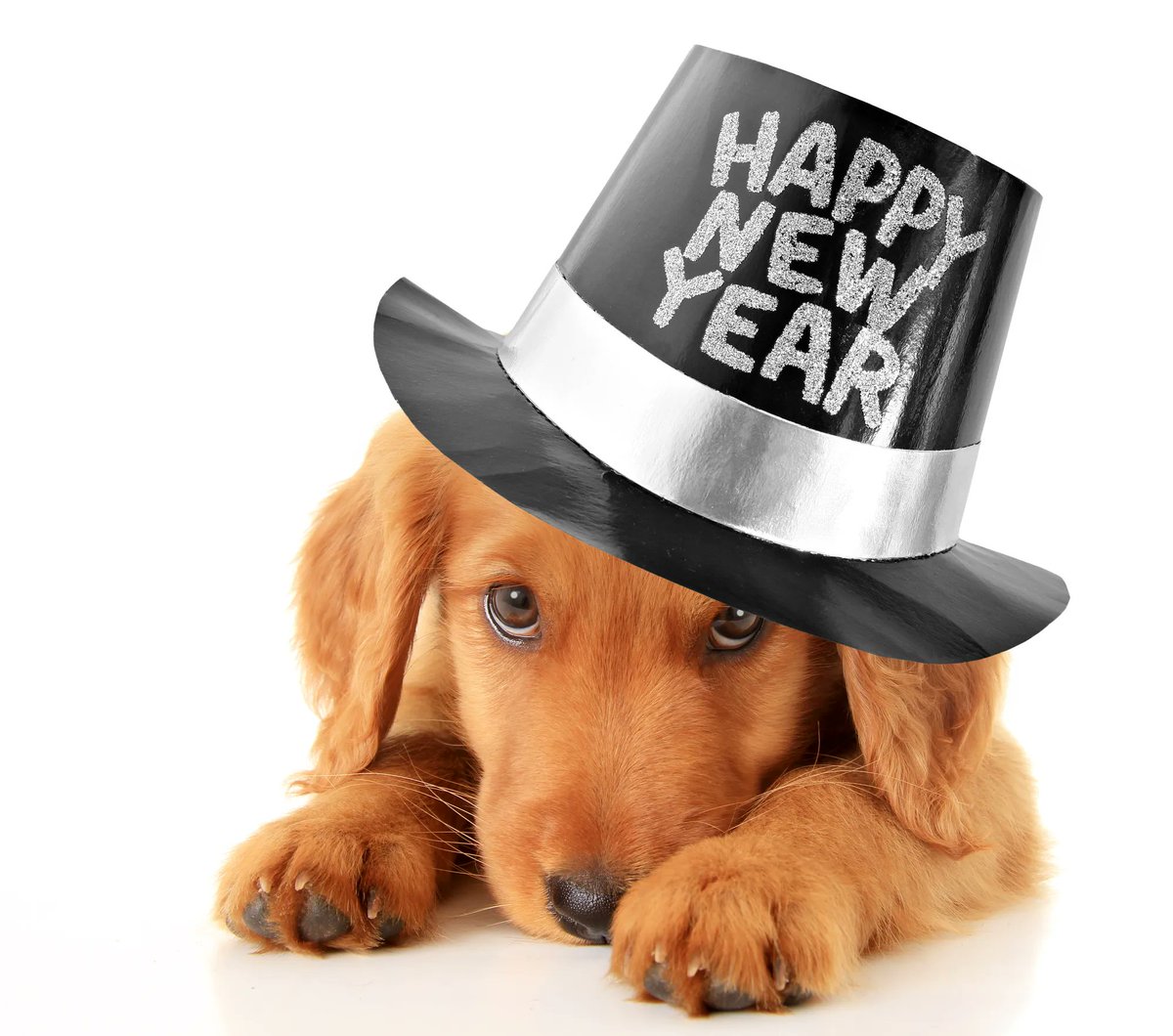 Wishing you all a safe and happy New Year!