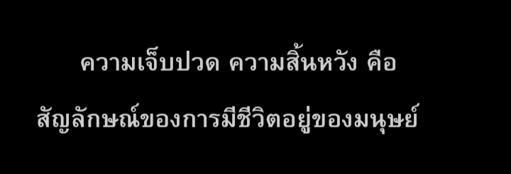 17 tweet media