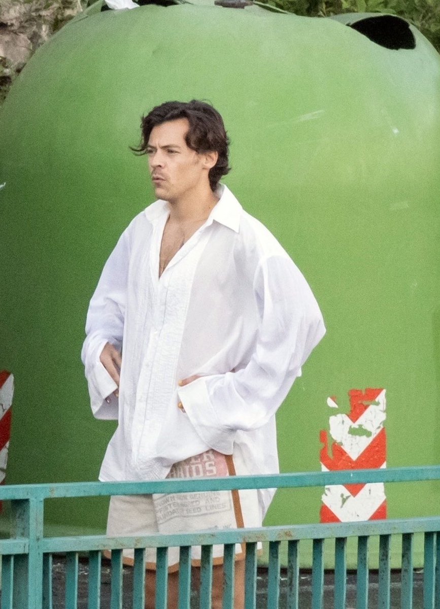 harryonset's tweet photo. Golden. https://t.co/tE2kfDN8X2