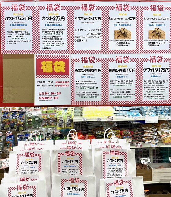 なんとか年内に福袋の準備が整いました。 クワカブの部屋さんの福袋も4