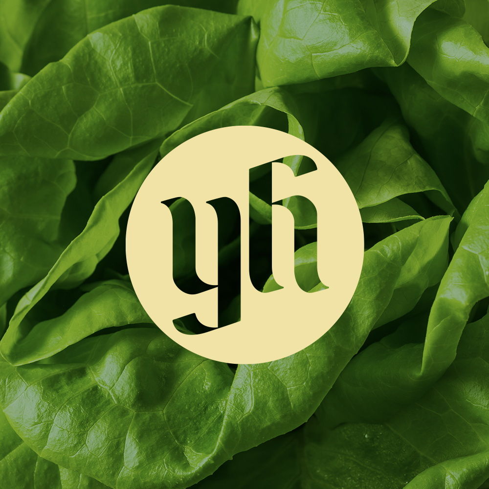 yhfarms's tweet photo. As we close out 2022, we want to say a big THANK YOU to everyone who has supported our farm and market over the last year! We look forward to seeing you in 2023. #YHFresh #BhamFarm https://t.co/8JwgoF7hcL