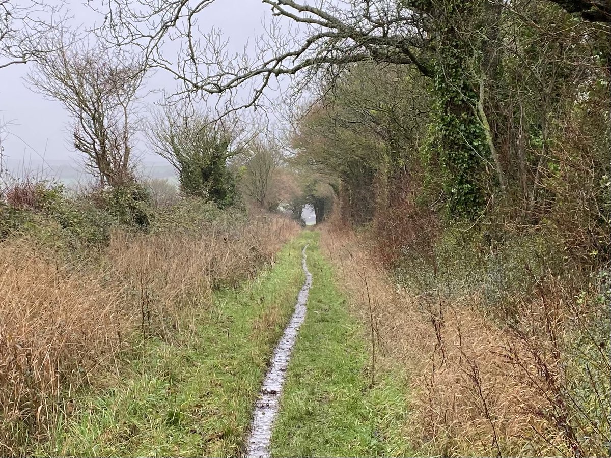 Vicky_liddell's tweet image. The Roman road above Bishopstone as it makes its way from Old Sarum (Sorviodunum) to Badbury Rings (Vindocladia). #romanroads #romanbritain #ancientbritain #chalkevalley #wiltshire #bishopstone #cranbornechase #ancienttrackways