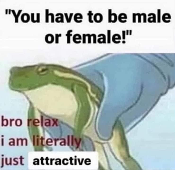 Respectful Memes (@respectfulmemes) on Twitter photo 
