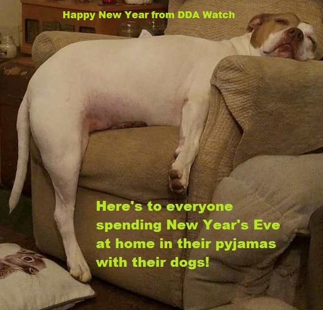 Team_DDAWatch's tweet photo. Wishing You A Safe and Happy New Year 2023 #endbsl #ddawatch #dogs #HNY2023 https://t.co/Cj3c7Y21wS