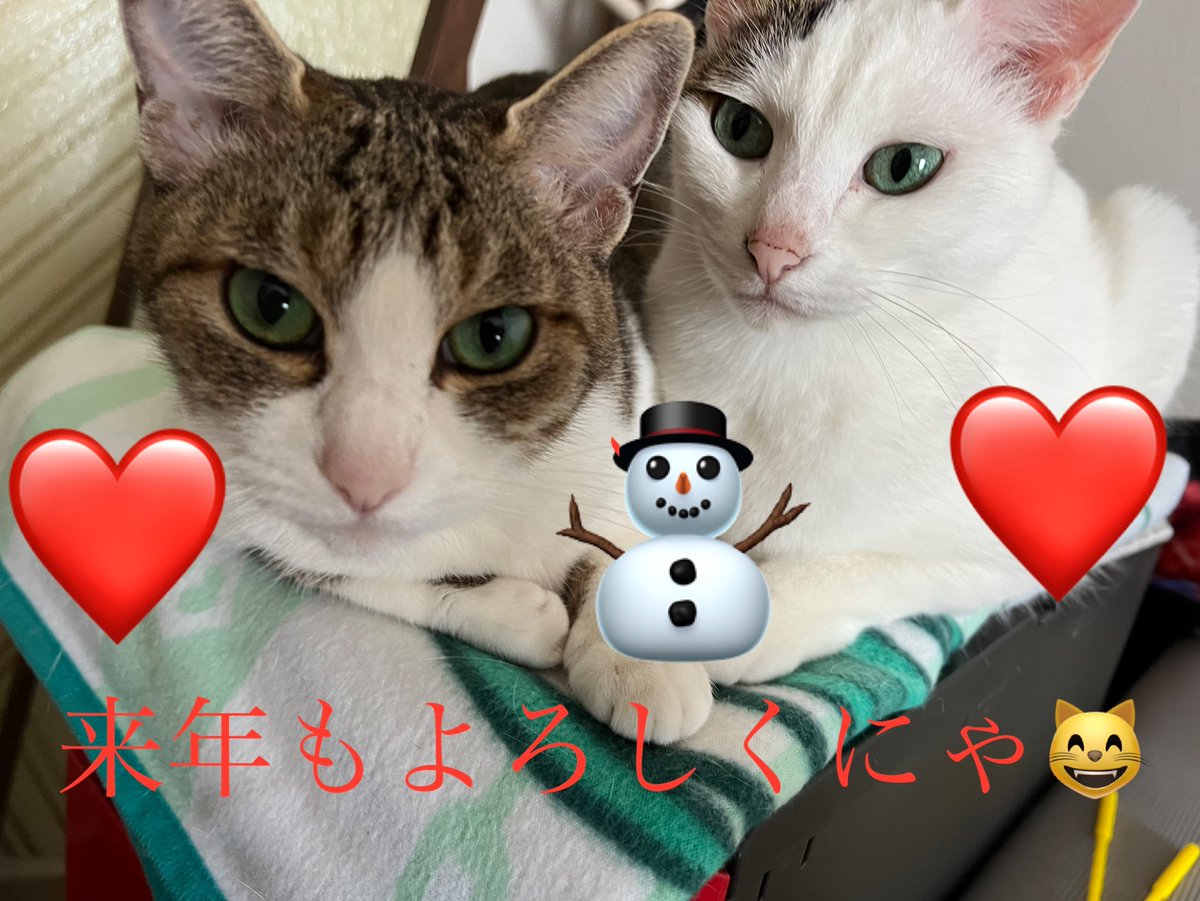 今年も後わすが❕

来年もよろしくお願いします🤲

皆さま良いお年をお迎えください⭐️