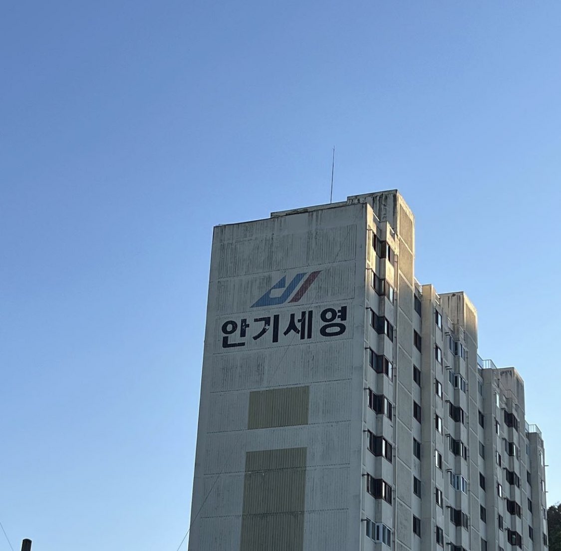 다디 tweet media