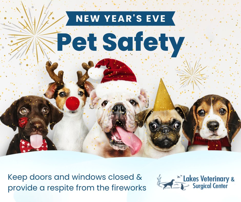 LakesVeterinary's tweet photo. Whether you're going out or staying in, stay safe and have a barking good time by keeping dangerous food or drinks away from your pet. And prepare for fireworks with Adaptil, Feliway, and a peaceful place where you pet can get away from the sound of fireworks. https://t.co/hMieMciDus