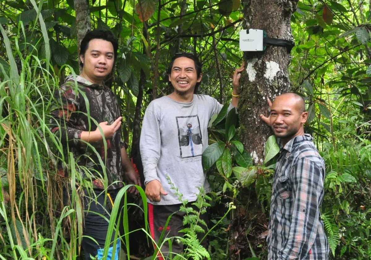 Today is the last day to submit your applications for our Global Raptor Research and Education Grant! We want to support your work studying at-risk raptor species around the globe! Click here to apply: hawkwatch.org/grrcg

📸: Asman Adi Purwant