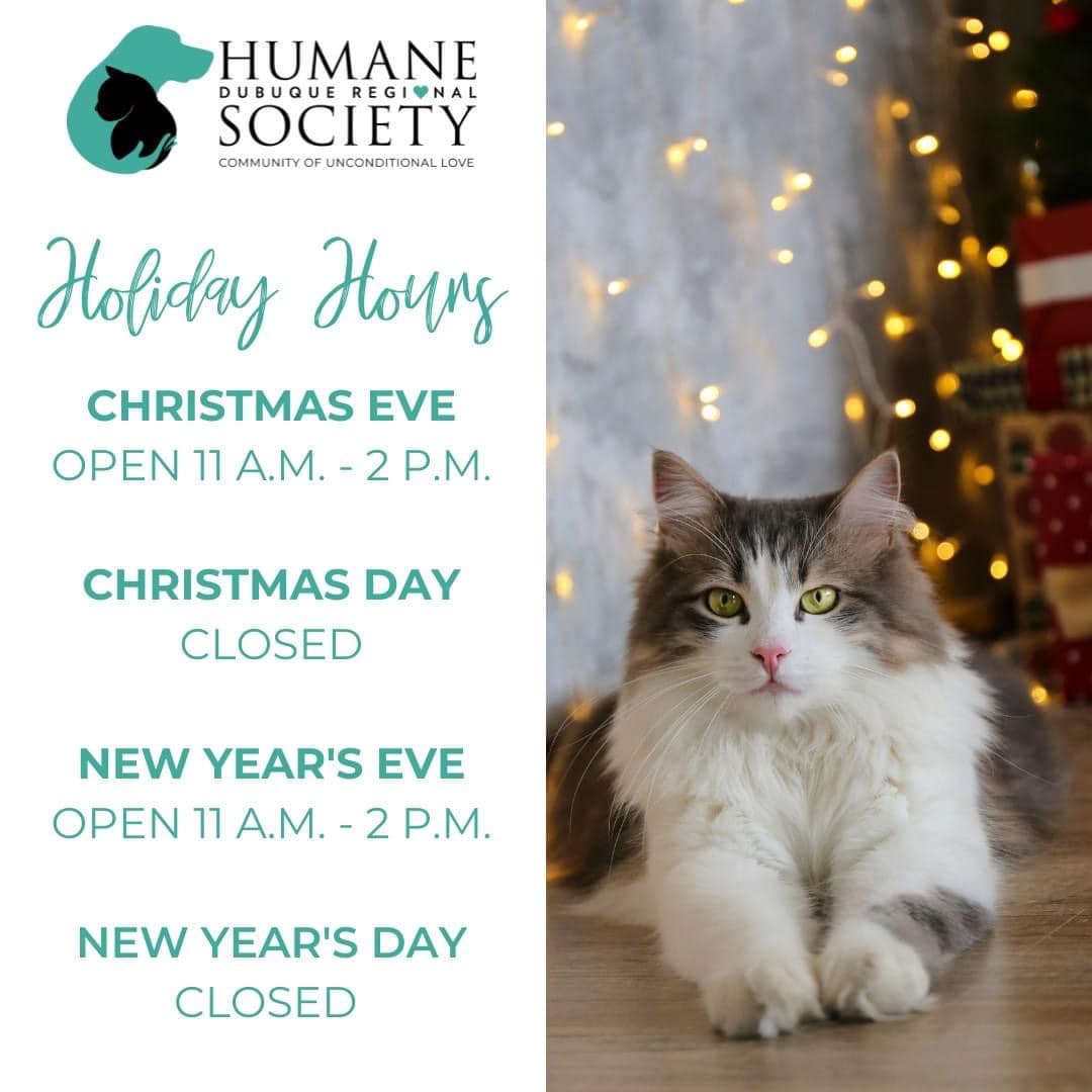 Dubuque Regional Humane Society (@dubuquehumane) on Twitter photo Just a reminder of our New Year's Holiday Hours! Just a reminder of our New Year's Holiday Hours!