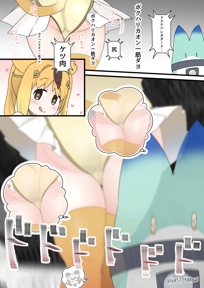 7月 キンシコウ種付け 
(7/10) 