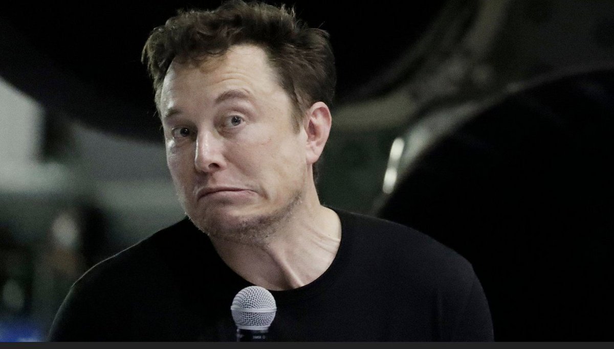 csswest's tweet image. That look when Elon Muck realizes Tesla owners are not right-wing extremists. #tesla #ElonMusk #teslastock