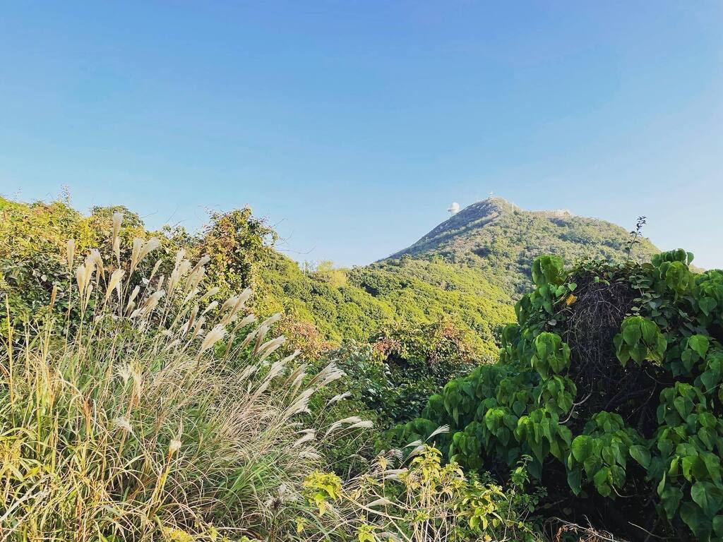 Last day of 2022. I very much look forward to the end of this year because 2022 sucks at so many levels
#outdoorphotography #shenzhen #beach #coastalliving #outdoor