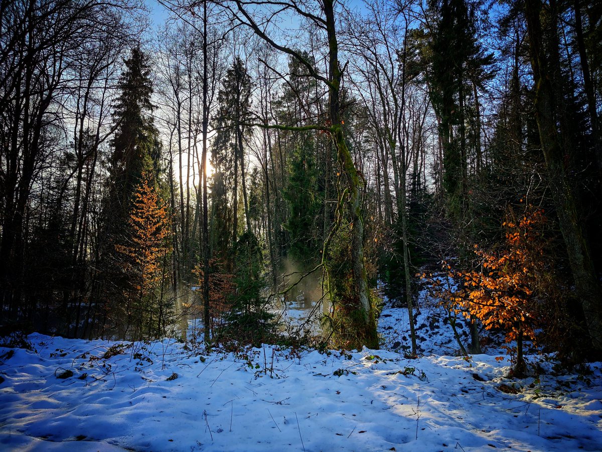 Micha59882293's tweet photo. Oj 2022 dałeś czadu.
Na całe szczęście żegnasz się z nami pogodnie https://t.co/81JCYbasXv