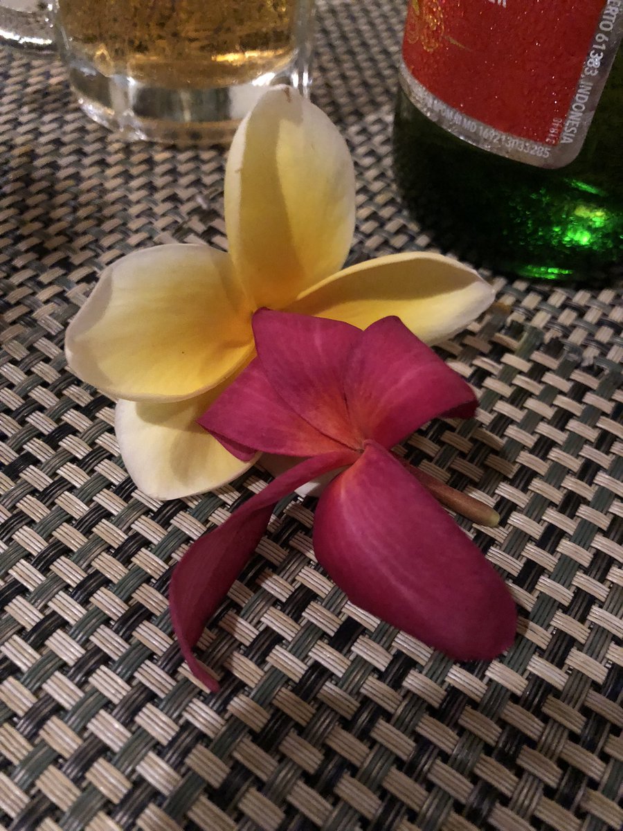 eSGeEla's tweet photo. @Pia_Zorn Grüße aus Bali, gehen jetzt zum Strand. Alles Gute für 2023! https://t.co/RPNbipE6PW