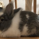 ?満ちてくる心の宿 吉夢?【公式】中の人のツイート画像