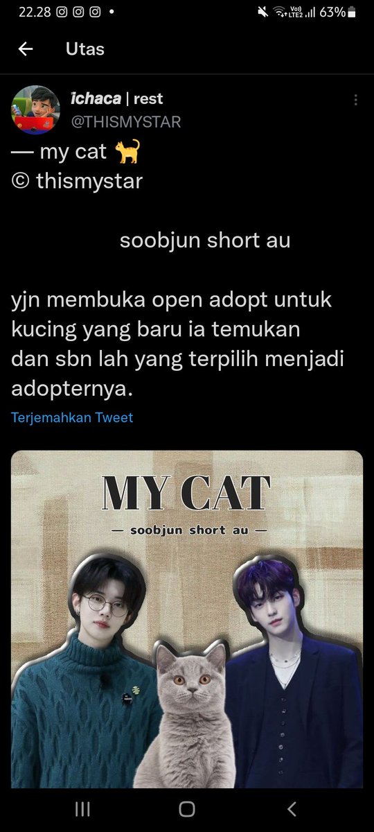 THISMYSTAR's tweet image. my cat aku kerjain lumayan cepet dan menurut ku au ini yang paling gemes aku keluarin di tahun ini. kalau 2M karena berpengalaman pribadi ku hehehehe walau ga pede tapi seneng aja akhirnya ada tempat ngeluarin (sedikit) unek unek ku