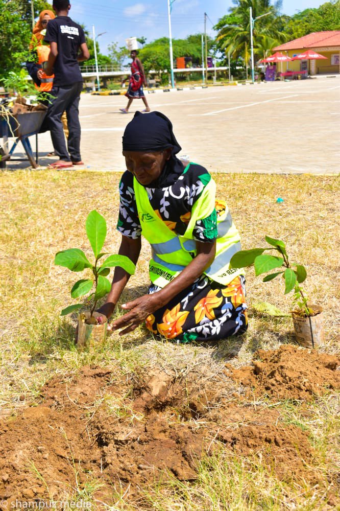AfricanTeacher tweet media