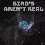 Photo by RealBirds (SOL Mint SOON) 🐦📡 (@RealBirdsGOV)
