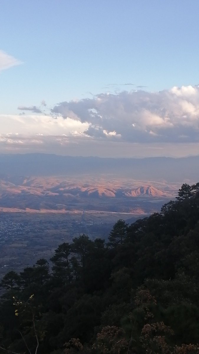 ElRamiroquai's tweet photo. Desde el #ceboruco vienedo un volcán bebé https://t.co/mO4llBzrmM