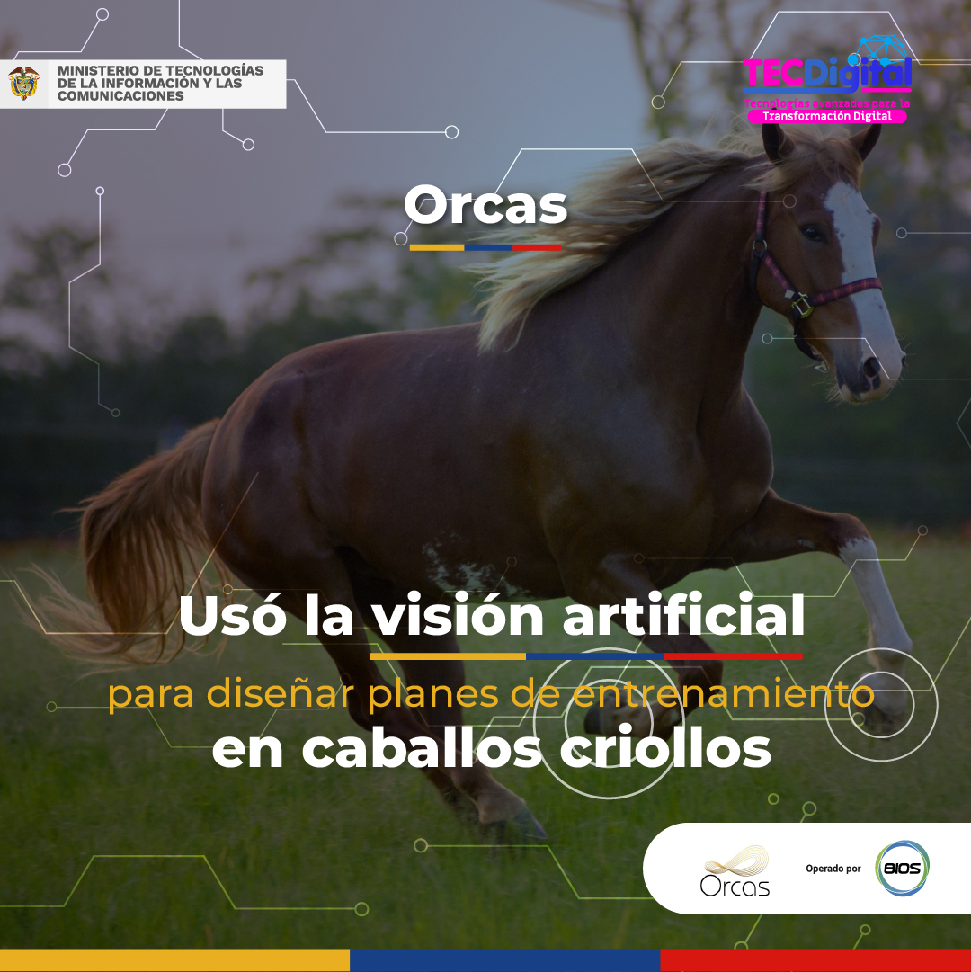 A través de <a href="/TecDigitalcol/">TecDigital</a>, empresas como Orcas implementaron #TecnologíasAvanzadas, ellos desarrollaron un sistema de visión artificial que identifica variables en el caballo criollo para diseñar planes de entrenamiento. Conoce más: bit.ly/3jziytv