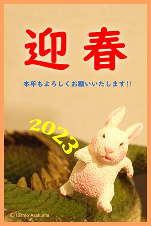 朝隈俊男関連のお知らせ (@clayanimals) / Posts / X