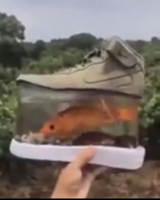 generated_pics's tweet photo. @MercyLi80732320 @FitingoFitness @cara58803379 sell or drop
airmax fish edition
350 sell no resell https://t.co/oueauOf57p