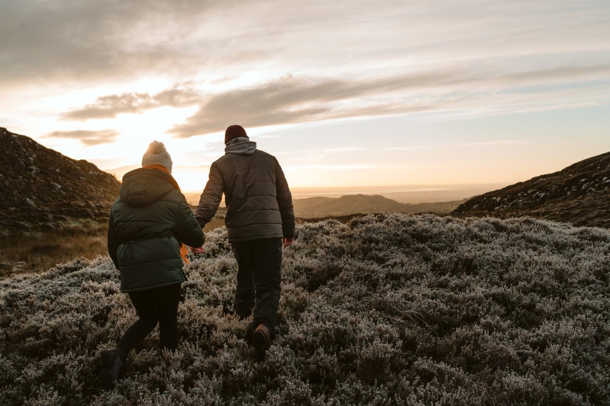 VisitMGS's tweet photo. Let us help you make the most of your trip to area, keep in touch with our newsletter. 

Sign Up here 👉🏻https://t.co/72ar7GXaLs

#VisitMourne #MourneMountains #RingofGullion #StrangfordLough #Newsletter #KeepInTouch https://t.co/ljuE4yk2o0