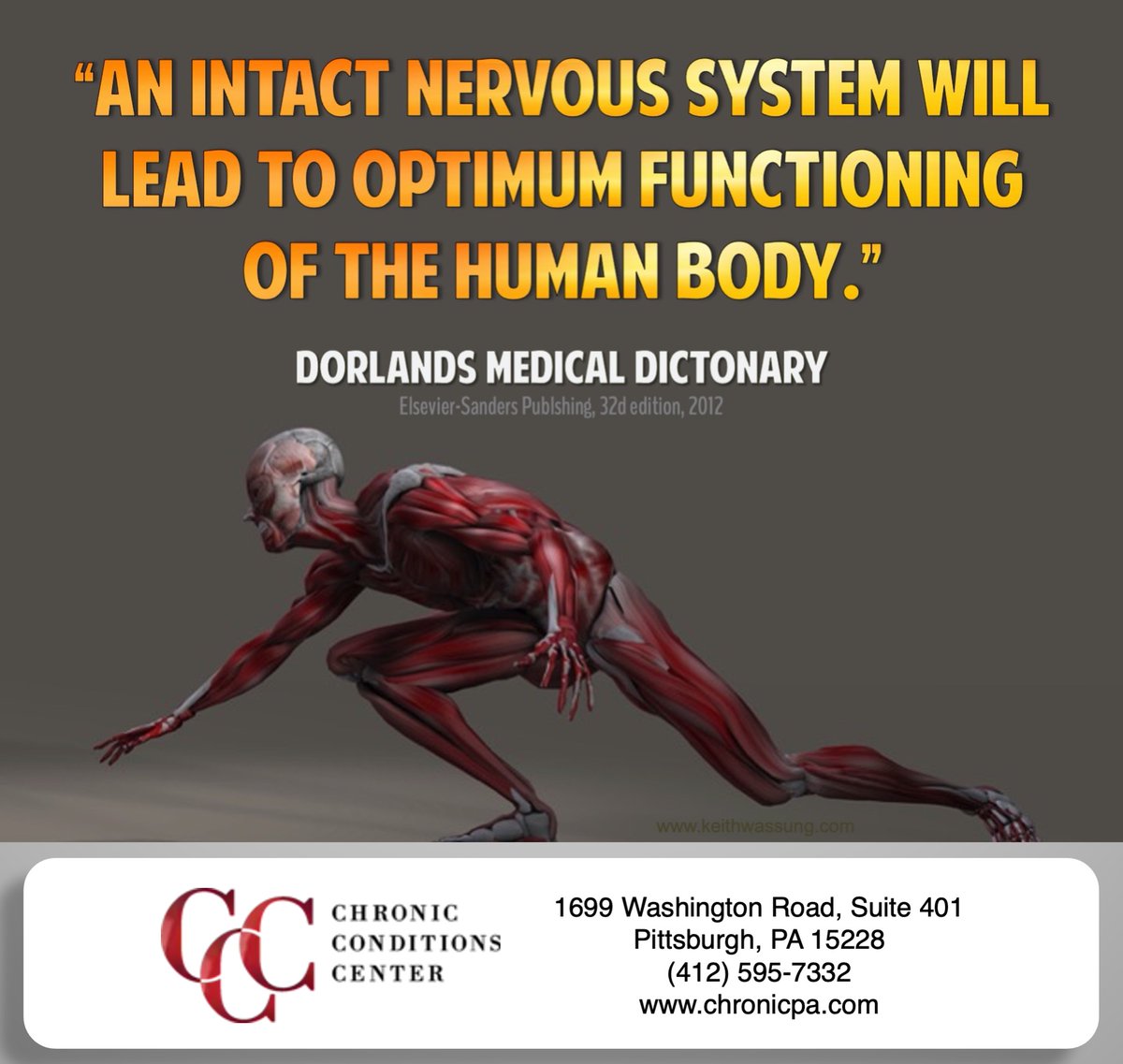 kevinsmithdc's tweet image. #nervoussystem #optimalfunctioning #chiropractic #wellness #function