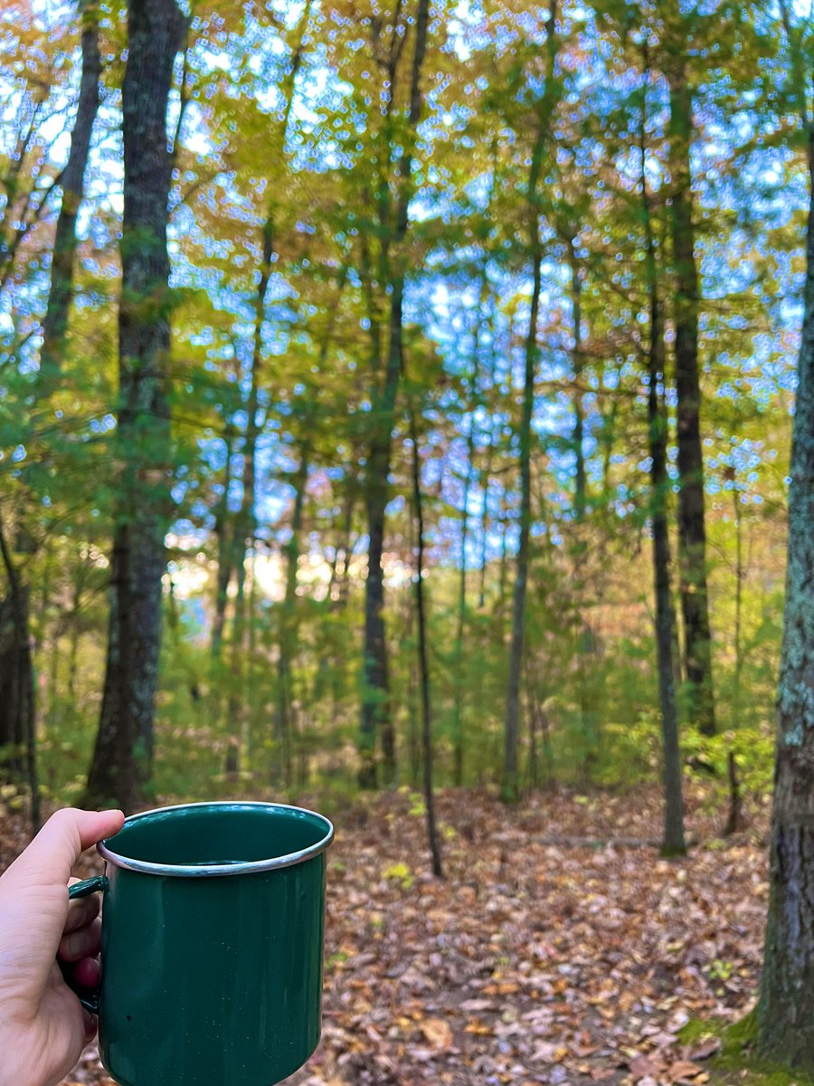 They_Adventure's tweet photo. 📍Red River Gorge, KY 
#redrivergorge #kentucky #hiking https://t.co/jV9fR047bH