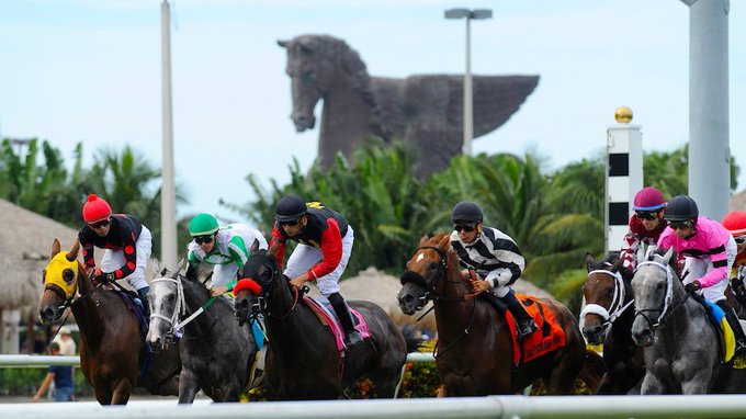 ARodriguezVera's tweet photo. Descarga GRATIS aquí
El Folleto #NoonLine🍀
de Alfonso Rodríguez Vera
de hoy SÁBADO 31Dic22
para GULFSTREAM 🌴
#TordilloPower💪

Haz click
https://t.co/j1EMQUMvt2 https://t.co/rHnjKz14a5