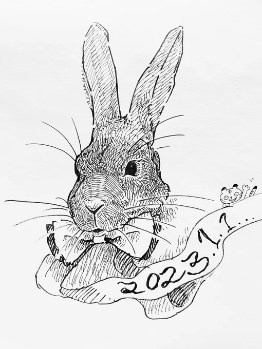 2023年もよろしくお願いします🐰 