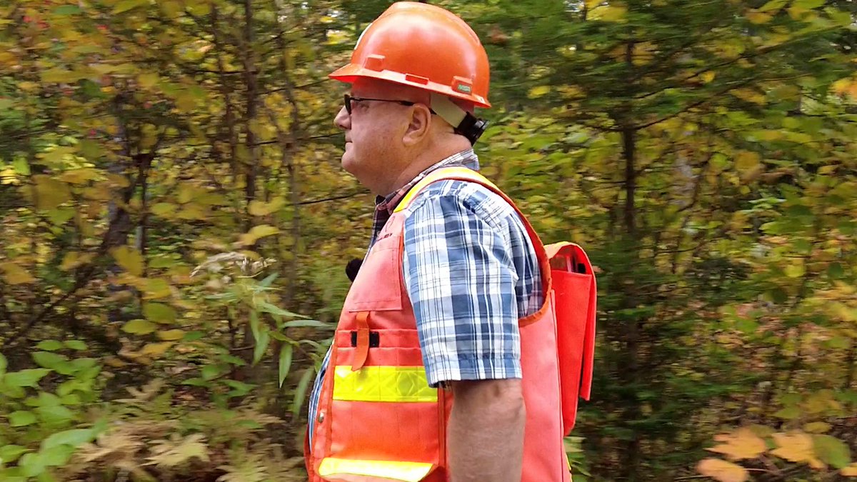 Mitacs et l’Institut de recherche sur les feuillus nordiques : un partenariat gagnant bit.ly/3Gamx7z