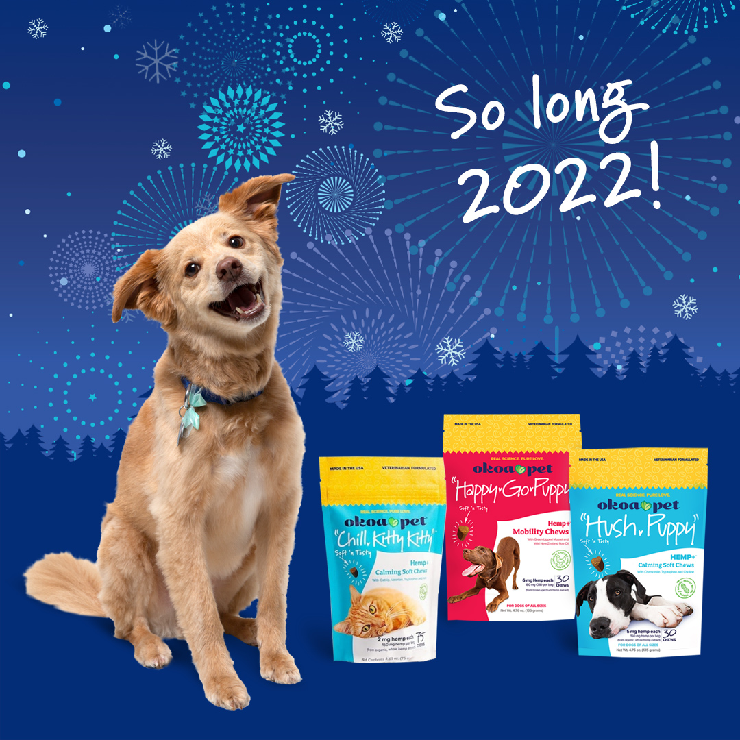 OkoaPet's tweet photo. So long, 2022!  It's been a blast.  Wishing your family and friends - furry, four-legged ones included a happy, healthy new year 🐶🐾😺. https://t.co/x1UK4CdIyL