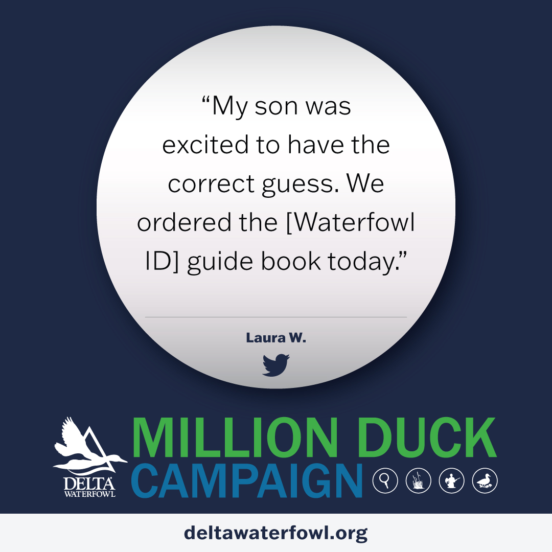 DeltaWaterfowl's tweet photo. We're sending a huge shout out to Laura W's son who got aced a trivia question AND got and ID book for Christmas! Get yours today:
https://t.co/OBk8bktrXn
#DuckTrivia #DuckHunters #Trivia https://t.co/qWLCP4W9q1