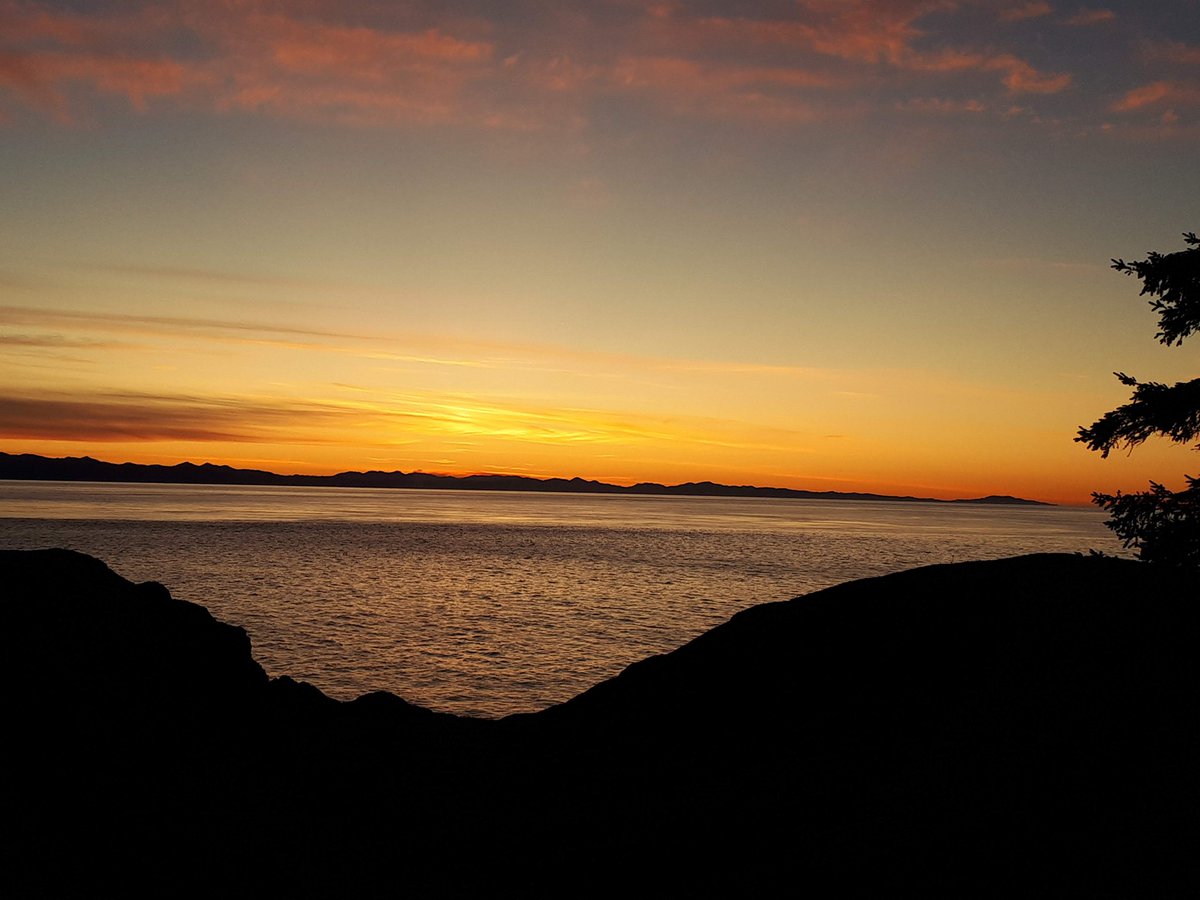 As the sun begins its descent on this last day of the year, may your journey through it be one of peace. With each step into 2023, I wish you much joy and happiness. Cheers to a bright and shiny new year 🥂.