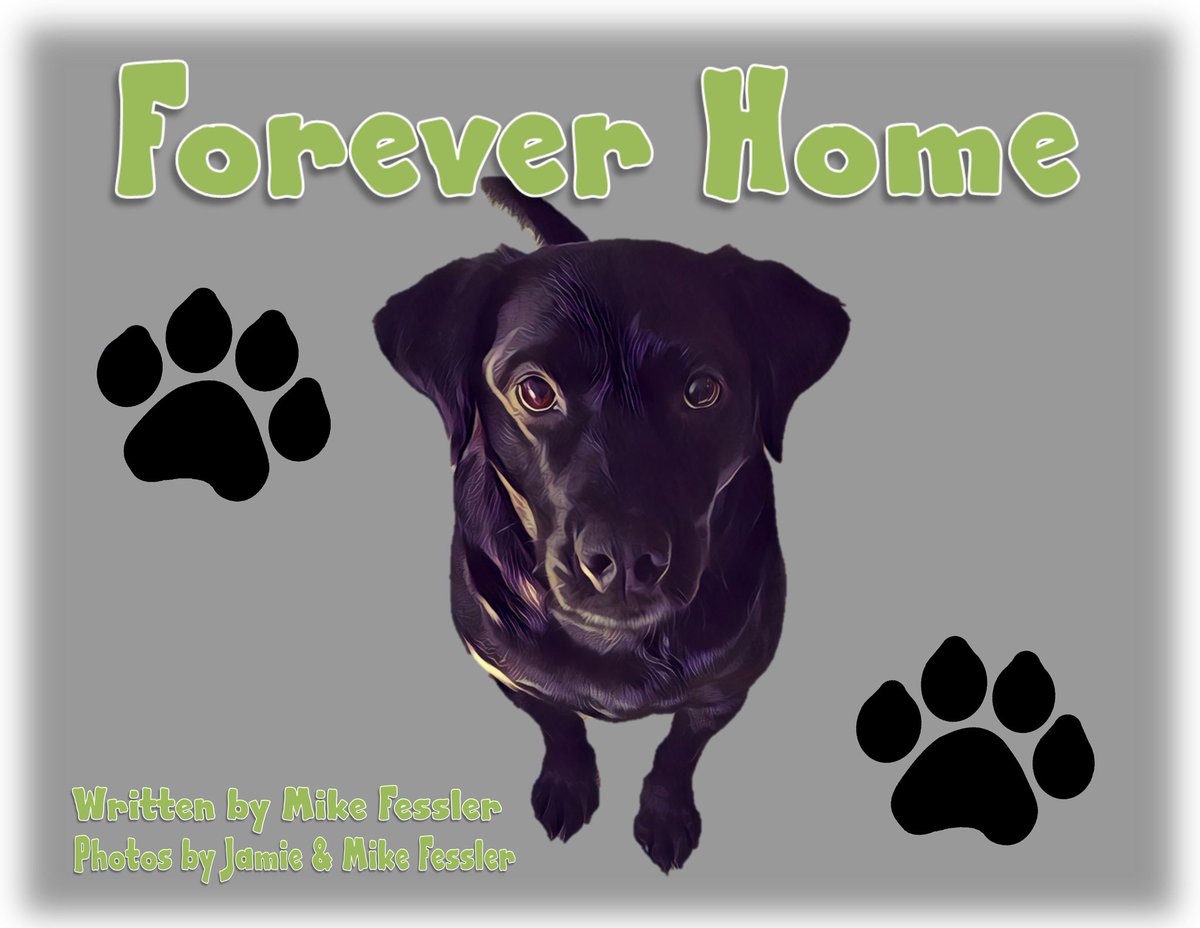 AnakinFessler's tweet photo. My Mom &amp; Dad have a new children's book out today!
It's called Forever Home and is a fun telling of my adoption story.
The book is available exclusively at Barnes and Noble.
Click the link below to check it out:
https://t.co/wF07XhITH3 https://t.co/iKWHp3xDyc