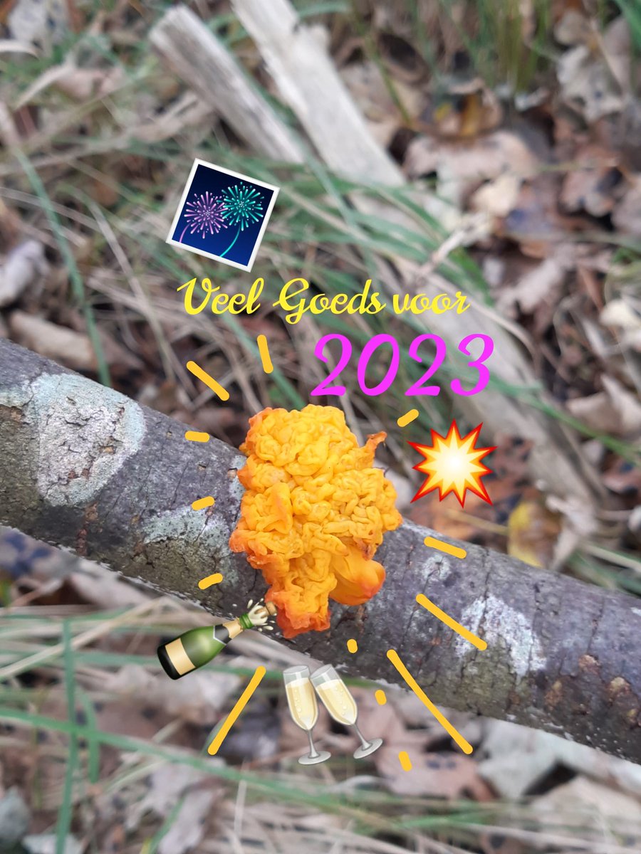 Alvast voor iedereen een goede jaarwisseling doe voorzichtig en..