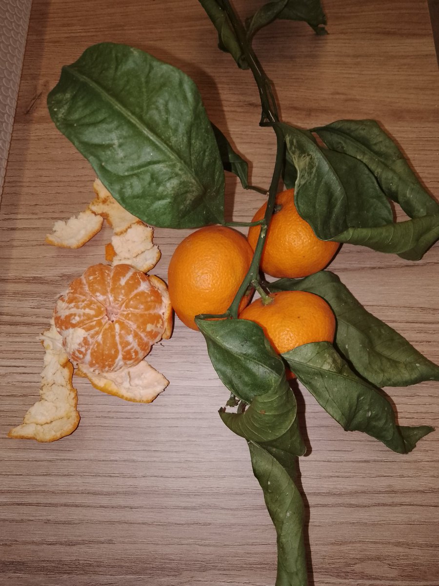 Yılbaşında Rize mandalinası varsa sofrada, gerisi teferruat tır. ;)