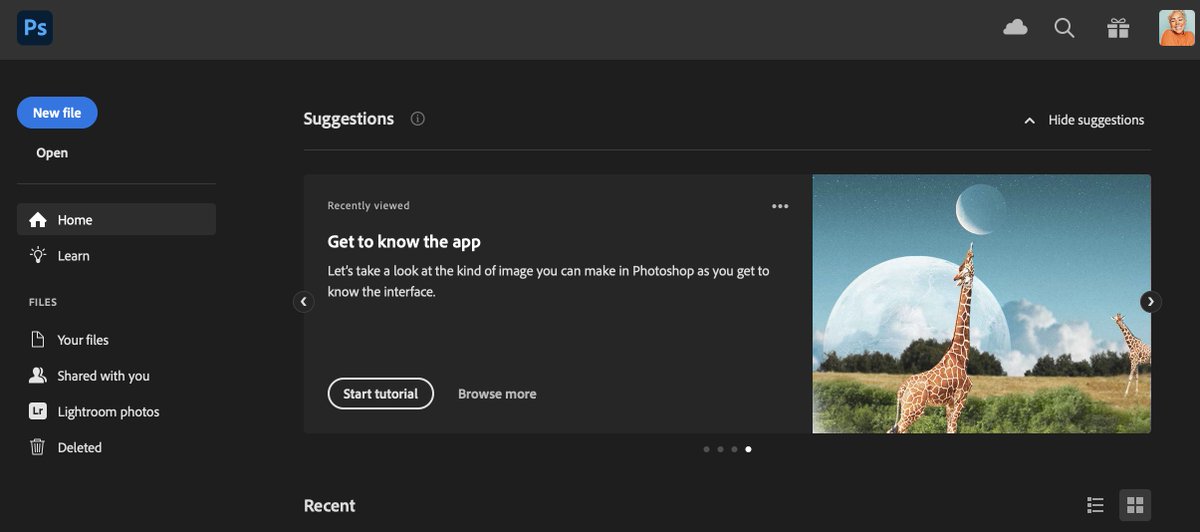 Swopes's tweet photo. I have yet to talk in-depth about this amazing opportunity!!! But we will 🦒💛 Video incoming! @Photoshop #SwopesGiraffe https://t.co/o5q45PydyU