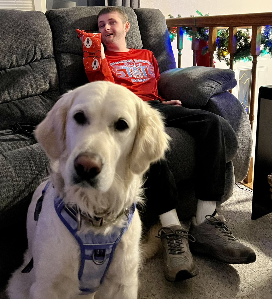 Layla the Dog tweet media