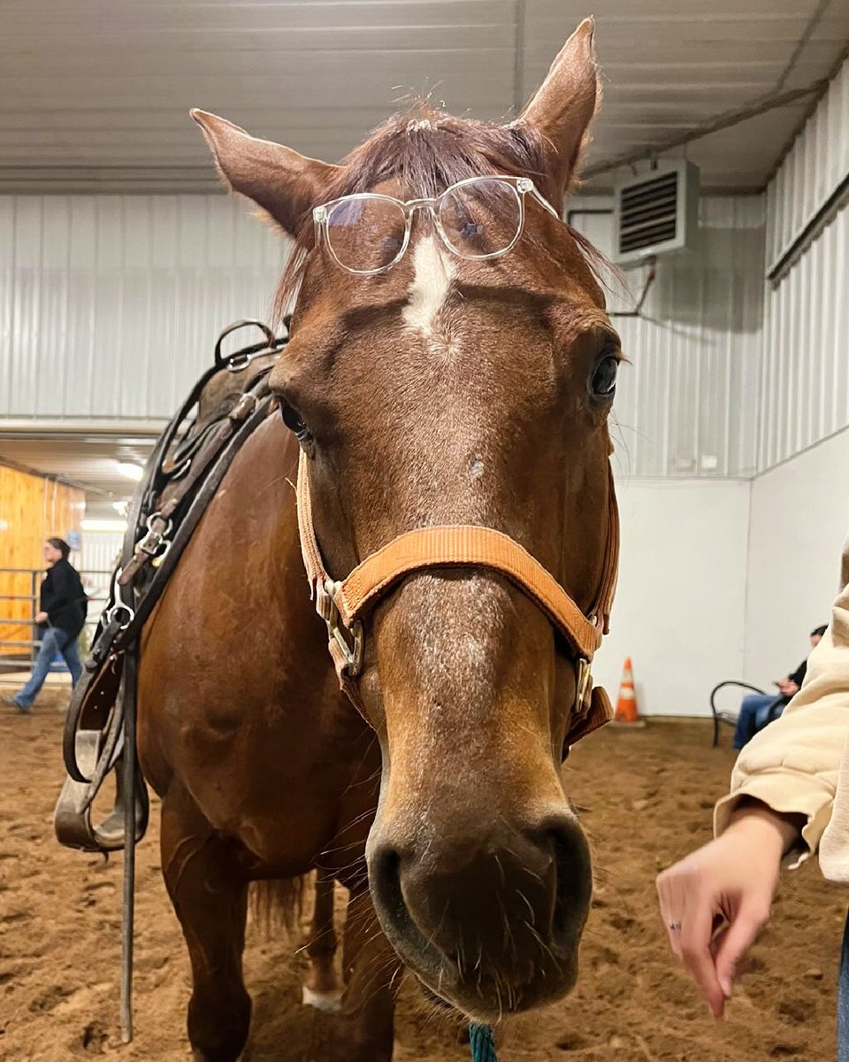 Django wants to hear your 2023 goals! Learn your diagonals, wake up for 8 am classes, support your team at Nationals, make great friends, find a career in the horse industry. IHSA will help you meet those! (Maybe not for the 8 am classes, you're on your own for those!) #rideIHSA