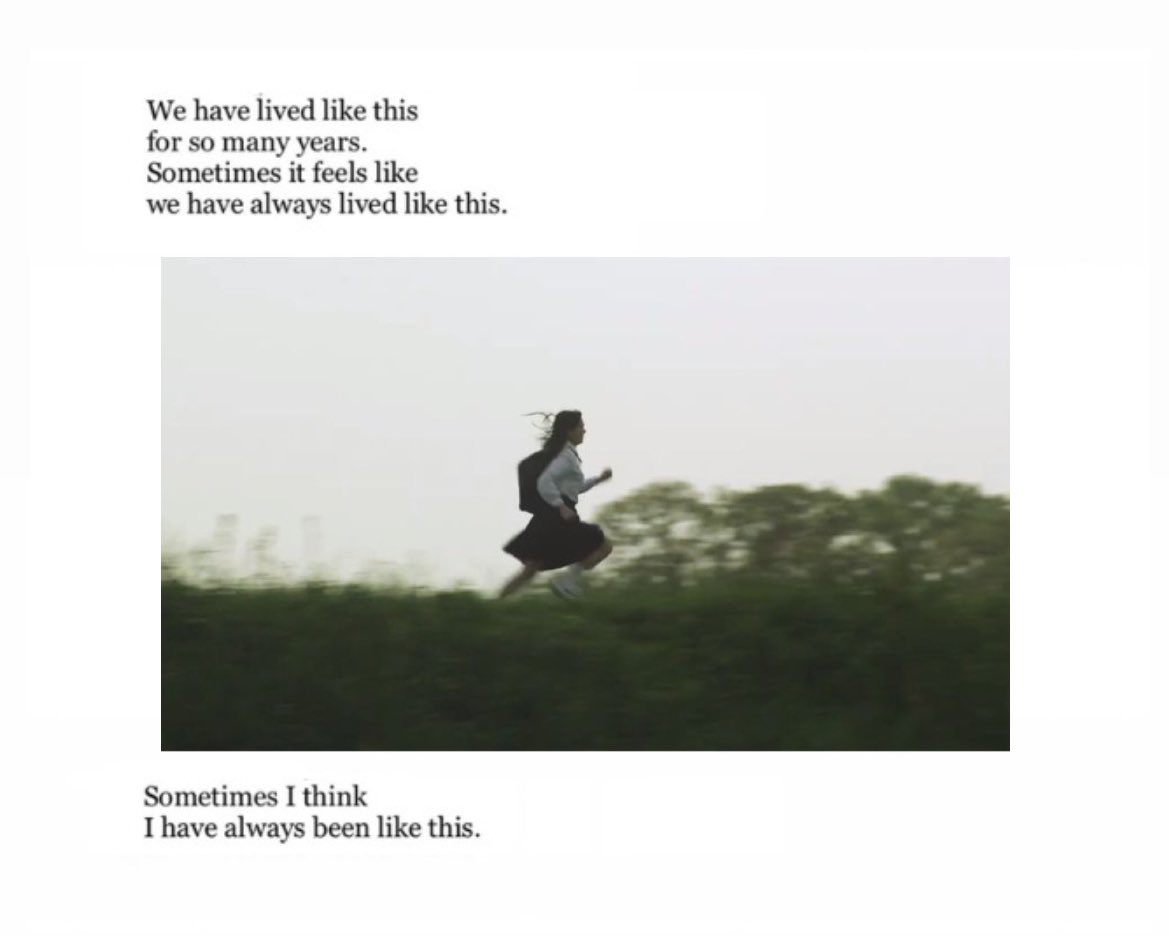 flowrfruit's tweet photo. “just to be alive / on this fresh morning / […] it could mean something.” https://t.co/TuVfHR3mcj