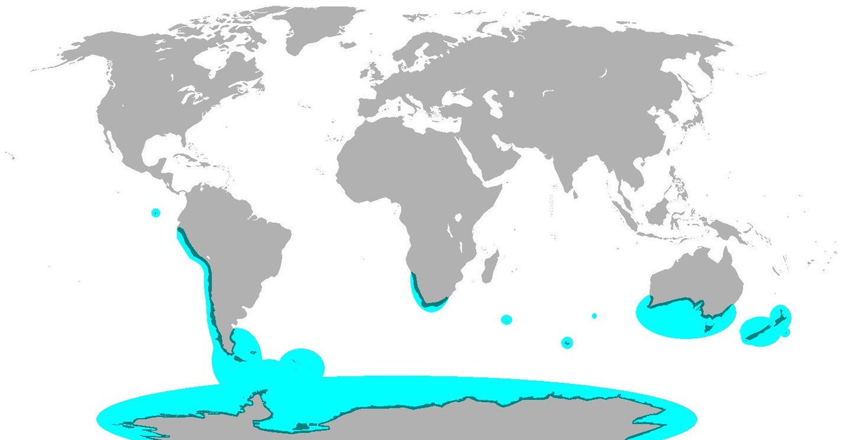 Global distribution of penguins