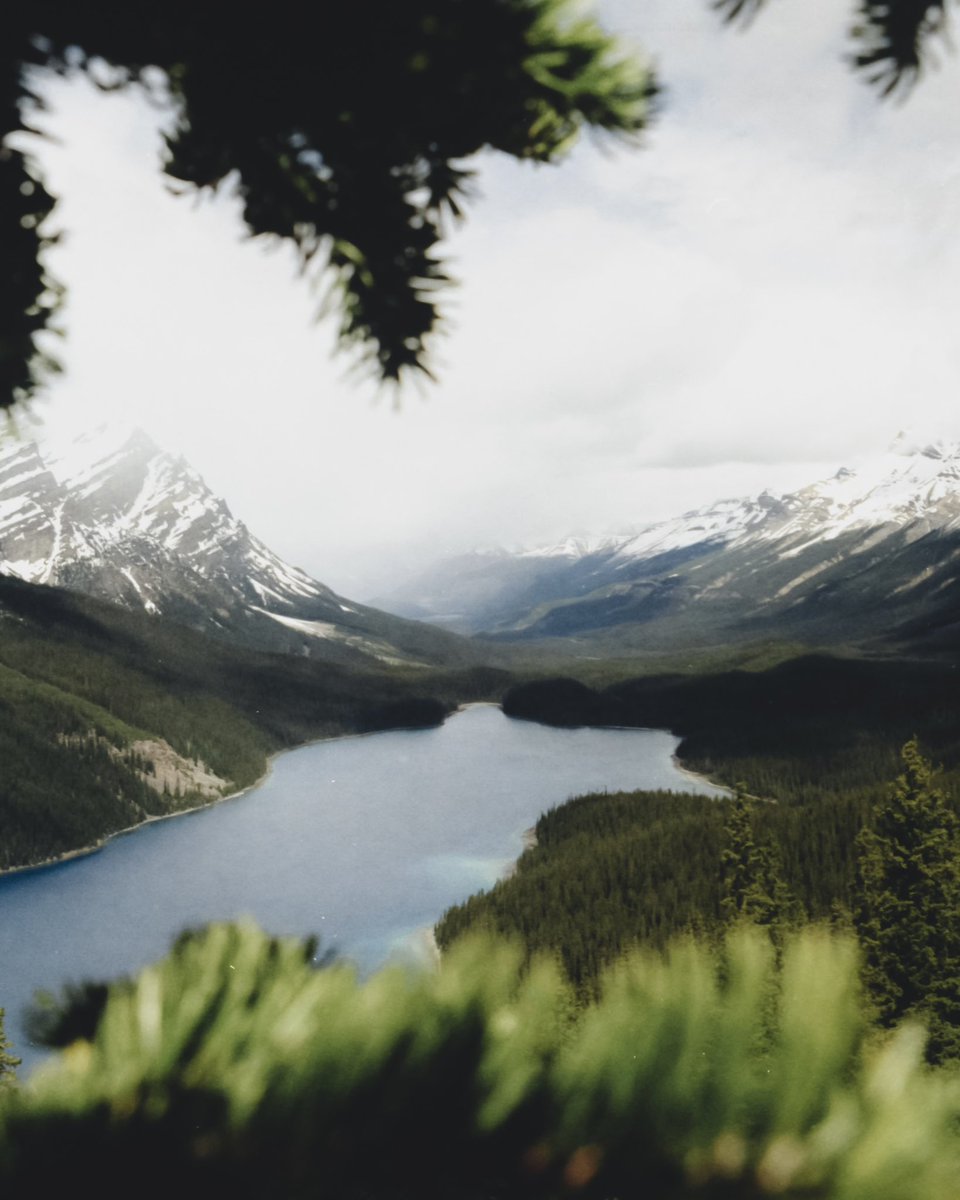 GM GM beautiful people 🏔️