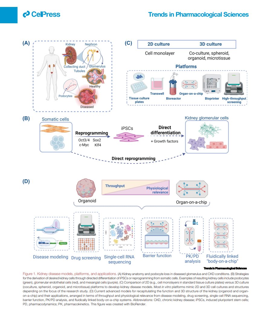 Final publication of 2022 from our #research group on #technologies poised to break the in vitro impasse & advance #drugdiscovery for debilitating human diseases. #stemcells #mps #diseasemodels #organoids #organsonchips cell.com/trends/pharmac…