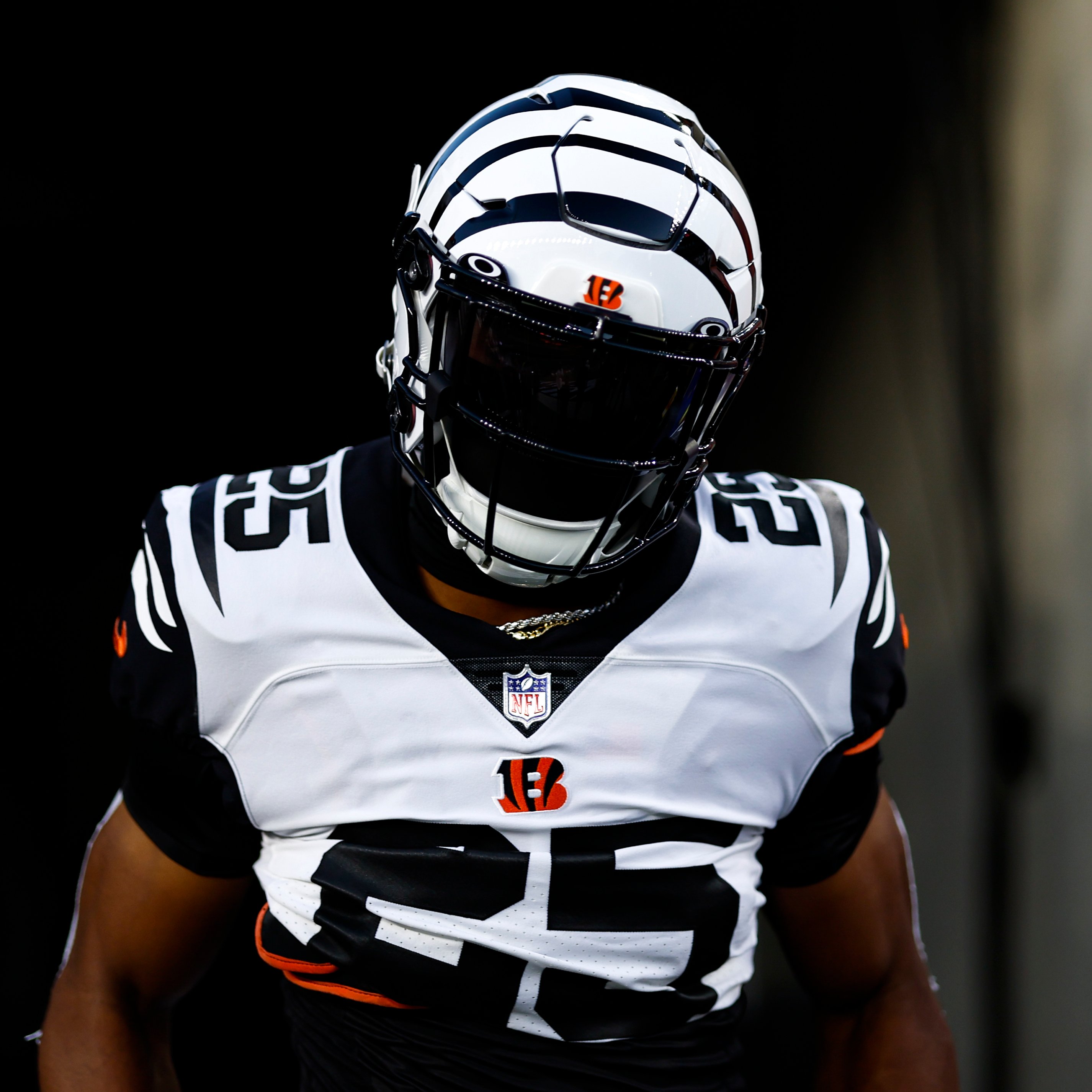 Cincinnati Bengals on Twitter "Inducted two legendary Bengals to the