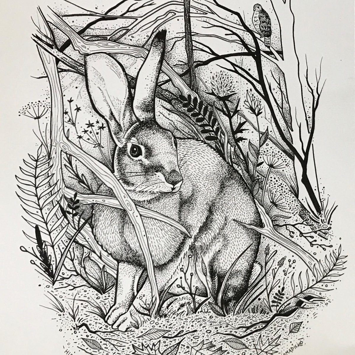 As we head into the year of the rabbit, we are excited to see all the things we've been working so diligently on for the last few years fall into place. 

✍🏻: Robyn Roth